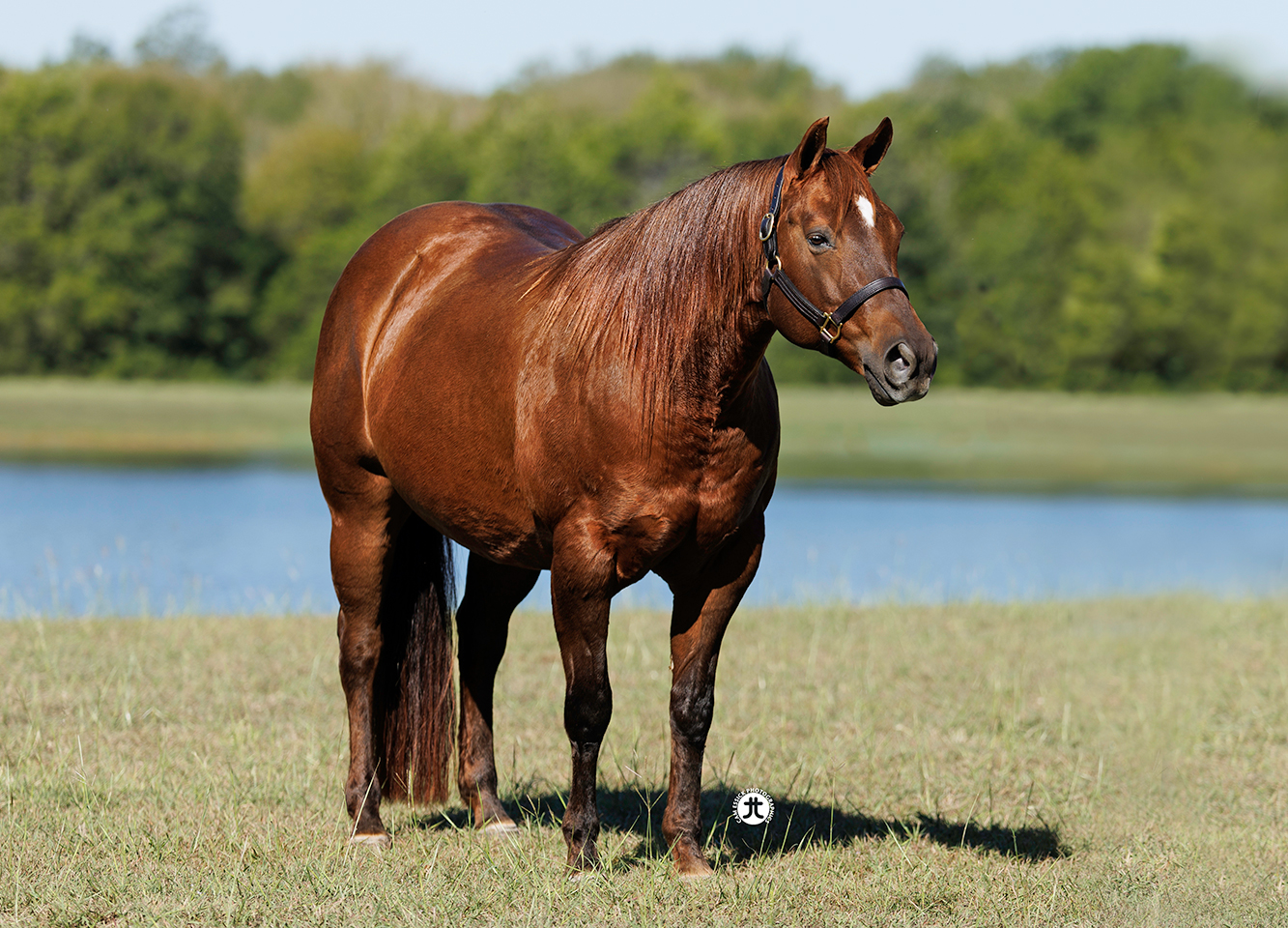 Heidi-(BQH-Chex-Out-Wimpys)2
